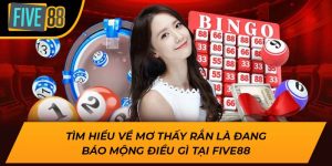 Tìm Hiểu Về Mơ Thấy Rắn Là Đang Báo Mộng Điều Gì Tại Five88