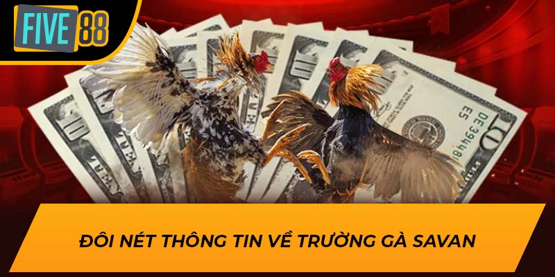 Đôi nét thông tin về trường gà Savan